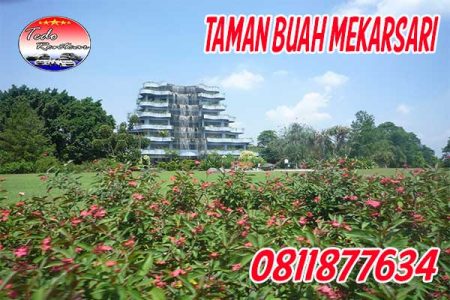 SEWA RENTAL MOBIL JAKARTA