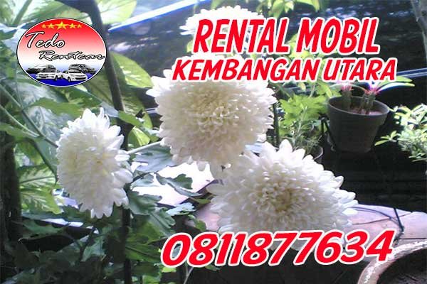 FASILITAS JASA RENTAL MOBIL KEMBANGAN UTARA JAKARTA BARAT HARGA MURAH 24 JAM TERBAIK & TERDEKAT