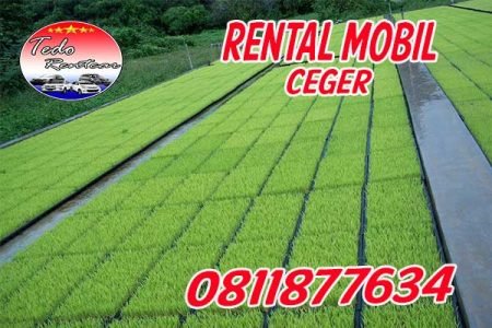 LAYANAN JASA SEWA RENTAL MOBIL CEGER JAKARTA TIMUR HARGA MURAH 24 JAM TERBAIK & TERDEKAT