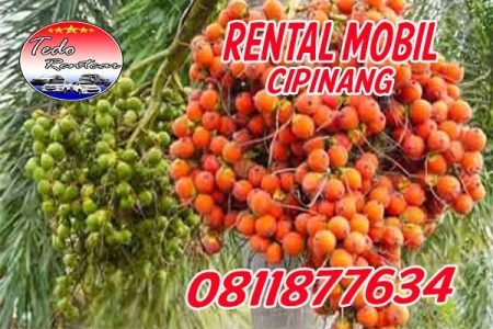 LAYANAN JASA SEWA RENTAL MOBIL CIPINANG JAKARTA TIMUR HARGA MURAH 24 JAM TERBAIK & TERDEKAT