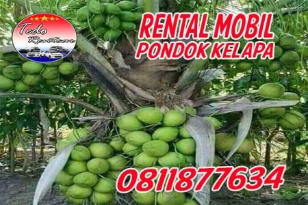 LAYANAN JASA SEWA RENTAL MOBIL PONDOK KELAPA JAKARTA TIMUR HARGA MURAH 24 JAM TERBAIK & TERDEKAT