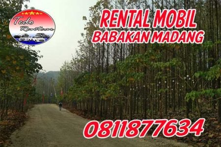 LAYANAN JASA SEWA RENTAL MOBIL BABAKAN MADANG BOGOR HARGA MURAH 24 JAM TERBAIK DAN TERDEKAT