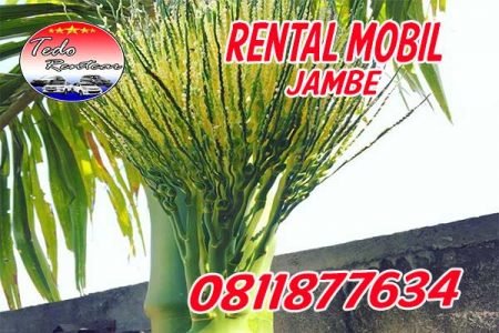 DAFTAR HARGA JASA SEWA RENTAL MOBIL JAMBE TANGERANG MURAH 24 JAM TERBAIK & TERDEKAT