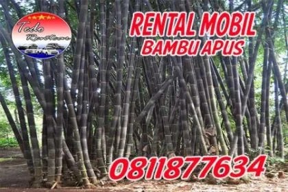 rental mobil bambu apus 2
