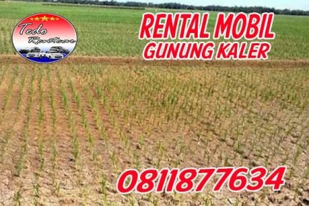 rental mobil gunung kaler