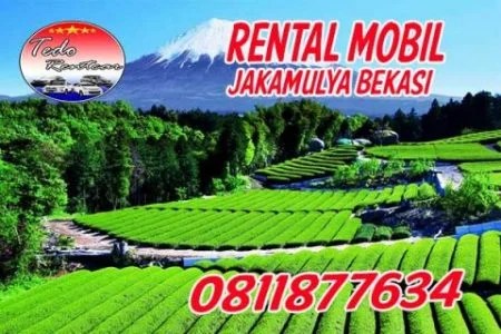 rental mobil jakamulya