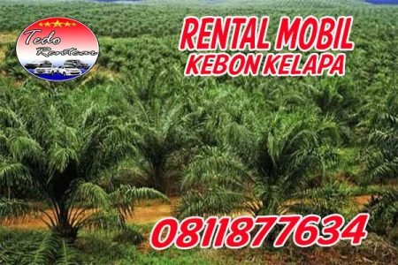 rental mobil kebon kelapa