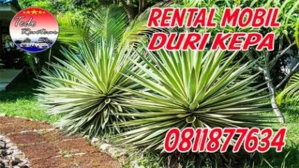 JASA SEWA RENTAL MOBIL DURI KEPA JAKARTA BARAT HARGA MURAH 24 JAM TERBAIK & TERDEKAT