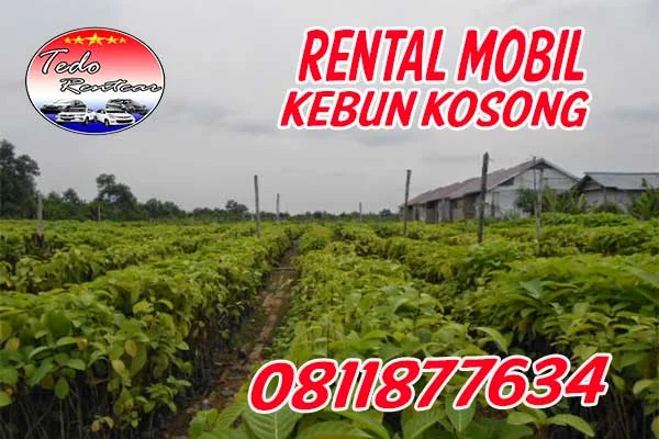 DAFTAR HARGA RENTAL MOBIL KEBON KOSONG JAKARTA PUSAT HARGA MURAH 24 JAM TERBAIK DAN TERDEKAT