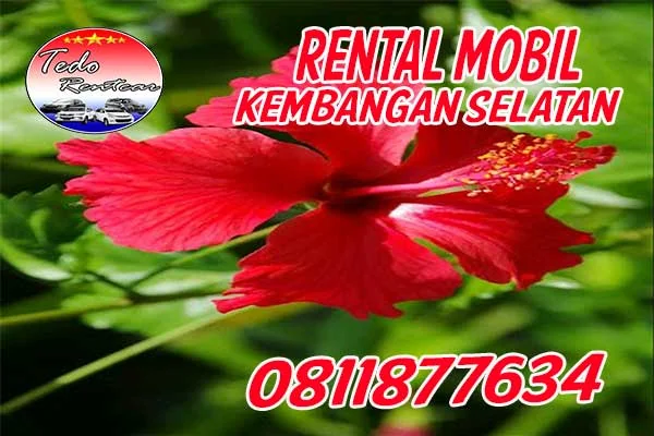 JASA SEWA RENTAL MOBIL KEMBANGAN SELATAN JAKARTA BARAT HARGA MURAH 24 JAM TERBAIK & TERDEKAT