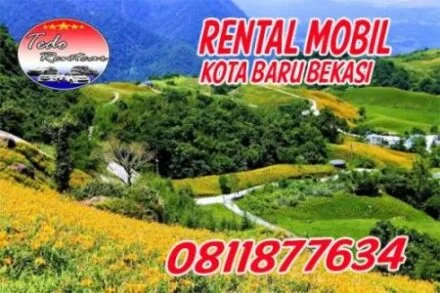 LAYANAN JASA RENTAL MOBIL KOTA BARU HARGA MURAH 24 JAM TERBAIK & TERDEKAT