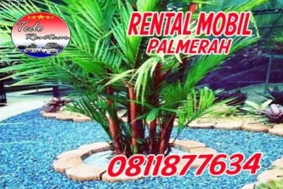FASILITAS JASA RENTAL MOBIL PALMERAH JAKARTA BARAT HARGA MURAH 24 JAM TERBAIK & TERDEKAT