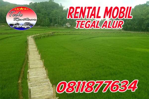 JASA SEWA RENTAL MOBIL TEGAL ALUR JAKARTA BARAT HARGA MURAH 24 JAM TERBAIK & TERDEKAT