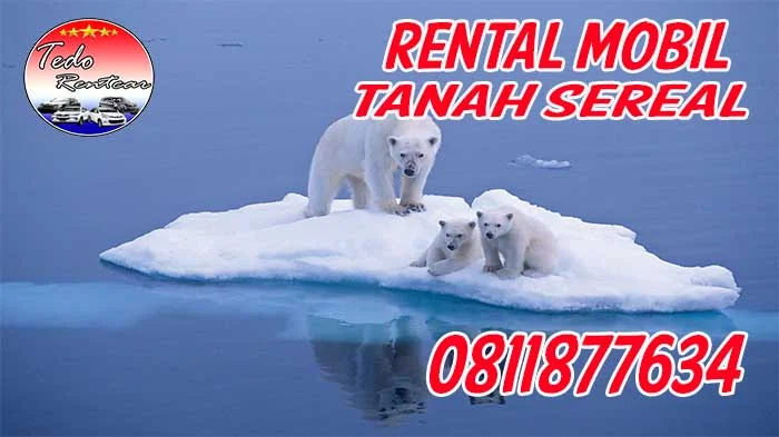 JASA SEWA RENTAL MOBIL TANAH SEREAL JAKARTA BARAT HARGA MURAH 24 JAM TERBAIK & TERDEKAT