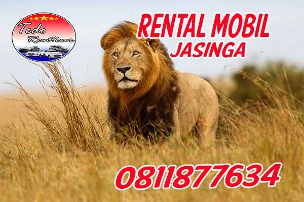 LAYANAN JASA SEWA RENTAL MOBIL JASINGA BOGOR HARGA MURAH 24 JAM TERBAIK DAN TERDEKAT