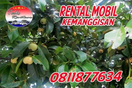 JASA SEWA RENTAL MOBIL KEMANGGISAN JAKARTA BARAT HARGA MURAH 24 JAM TERBAIK & TERDEKAT