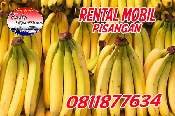 PELAYANAN JASA RENTAL MOBIL PISANGAN TANGERANG SELATAN HARGA MURAH 24 JAM TERBAIK DAN TERDEKAT