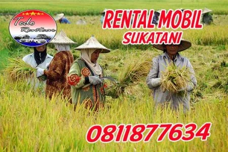 LAYANAN JASA RENTAL MOBIL SUKATANI BEKASI HARGA MURAH 24 JAM TERBAIK & TERDEKAT