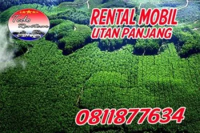 DAFTAR HARGA RENTAL MOBIL UTAN PANJANG JAKARTA PUSAT HARGA MURAH 24 JAM TERBAIK DAN TERDEKAT