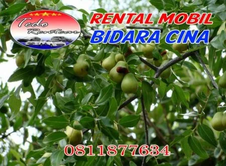 LAYANAN JASA SEWA RENTAL MOBIL BIDARA CINA JAKARTA TIMUR HARGA MURAH 24 JAM TERBAIK & TERDEKAT