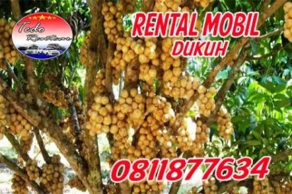 LAYANAN JASA SEWA RENTAL MOBIL DUKUH JAKARTA TIMUR HARGA MURAH 24 JAM TERBAIK & TERDEKAT