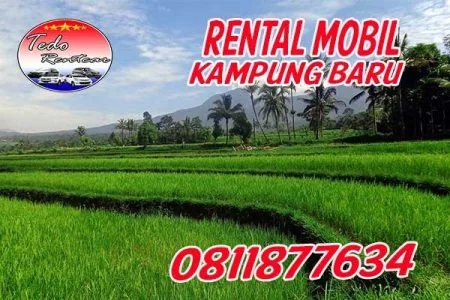 DAFTAR HARGA JASA SEWA RENTAL MOBIL KAMPUNG BARU JAKARTA TIMUR MURAH 24 JAM TERBAIK & TERDEKAT