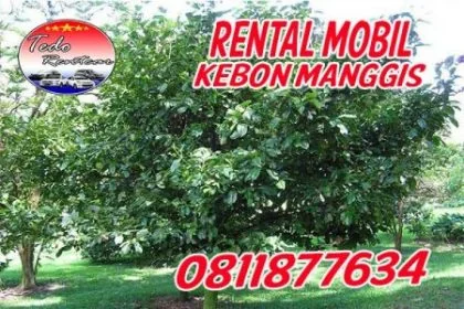 LAYANAN JASA SEWA RENTAL MOBIL KEBON MANGGIS JAKARTA TIMUR HARGA MURAH 24 JAM TERBAIK & TERDEKAT