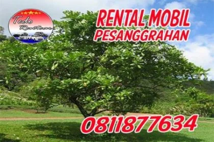 DAFTAR HARGA JASA SEWA RENTAL MOBIL PESANGGRAHAN JAKARTA SELATAN MURAH 24 JAM TERBAIK & TERDEKAT