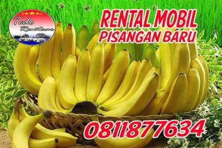 LAYANAN JASA SEWA RENTAL MOBIL PISANGAN BARU JAKARTA TIMUR HARGA MURAH 24 JAM TERBAIK & TERDEKAT