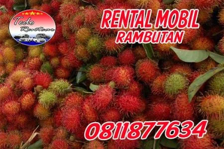 LAYANAN JASA SEWA RENTAL MOBIL RAMBUTAN JAKARTA TIMUR HARGA MURAH 24 JAM TERBAIK & TERDEKAT