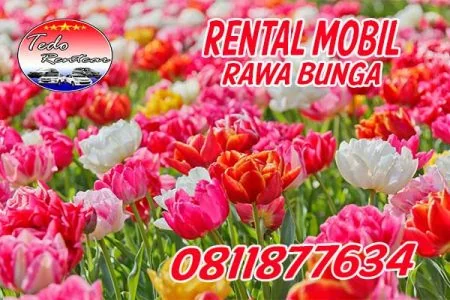 LAYANAN JASA SEWA RENTAL MOBIL RAWA BUNGA JAKARTA TIMUR HARGA MURAH 24 JAM TERBAIK & TERDEKAT