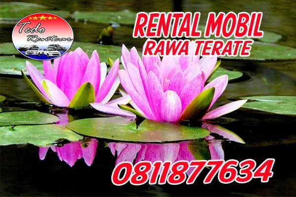 LAYANAN JASA SEWA RENTAL MOBIL RAWA TERATE JAKARTA TIMUR HARGA MURAH 24 JAM TERBAIK & TERDEKAT