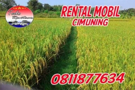 LAYANAN JASA RENTAL MOBIL CIMUNING BEKASI HARGA MURAH 24 JAM TERBAIK & TERDEKAT