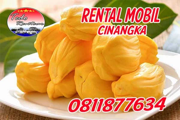 DAFTAR HARGA JASA SEWA RENTAL MOBIL CINANGKA DEPOK MURAH 24 JAM TERBAIK & TERDEKAT