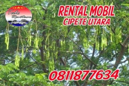 DAFTAR HARGA JASA SEWA RENTAL MOBIL CIPETE UTARA JAKARTA SELATAN MURAH 24 JAM TERBAIK & TERDEKAT