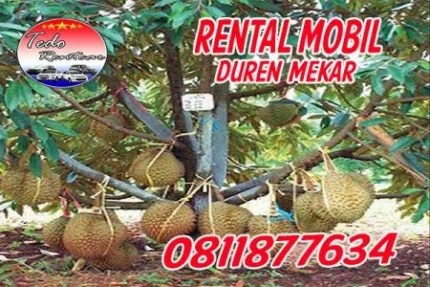 LAYANAN JASA SEWA RENTAL MOBIL DUREN MEKAR DEPOK HARGA MURAH 24 JAM TERBAIK & TERDEKAT
