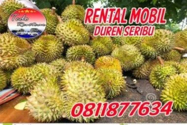 LAYANAN JASA SEWA RENTAL MOBIL DUREN SERIBU DEPOK HARGA MURAH 24 JAM TERBAIK & TERDEKAT