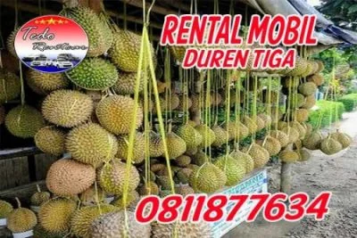 DAFTAR HARGA JASA SEWA RENTAL MOBIL DUREN TIGA JAKARTA SELATAN MURAH 24 JAM TERBAIK & TERDEKAT