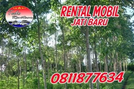 LAYANAN JASA RENTAL MOBIL JATIBARU BEKASI HARGA MURAH 24 JAM TERBAIK & TERDEKAT