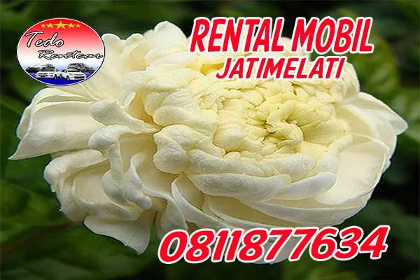 LAYANAN JASA RENTAL MOBIL JATIMELATI BEKASI HARGA MURAH 24 JAM TERBAIK & TERDEKAT