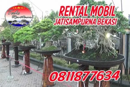 LAYANAN JASA RENTAL MOBIL JATISAMPURNA BEKASI HARGA MURAH 24 JAM TERBAIK & TERDEKAT