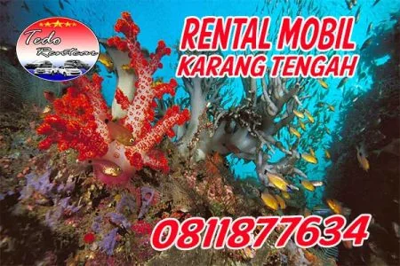 DAFTAR HARGA JASA SEWA RENTAL MOBIL KARANG TENGAH TANGERANG MURAH 24 JAM TERBAIK & TERDEKAT