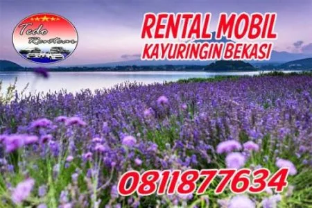 LAYANAN JASA RENTAL MOBIL KAYURINGIN JAYA BEKASI HARGA MURAH 24 JAM TERBAIK & TERDEKAT