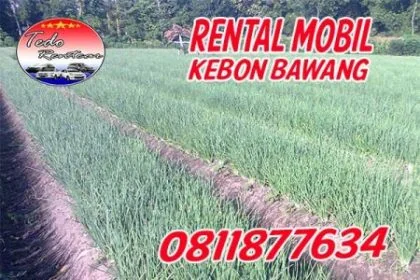 LAYANAN JASA RENTAL MOBIL KEBON BAWANG JAKARTA UTARA HARGA MURAH 24 JAM TERBAIK & TERDEKAT