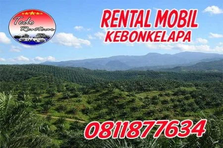 LAYANAN JASA SEWA RENTAL MOBIL KEBON KELAPA BOGOR HARGA MURAH 24 JAM TERBAIK DAN TERDEKAT