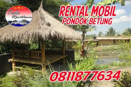 PELAYANAN JASA RENTAL MOBIL PONDOK BETUNG TANGERANG SELATAN HARGA MURAH 24 JAM TERBAIK DAN TERDEKAT
