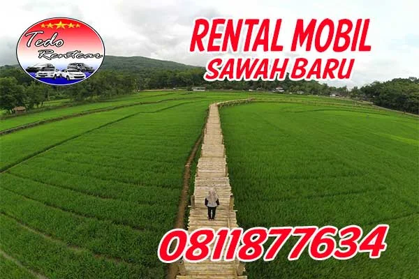 PELAYANAN JASA RENTAL MOBIL SAWAH BARU TANGERANG SELATAN HARGA MURAH 24 JAM TERBAIK DAN TERDEKAT