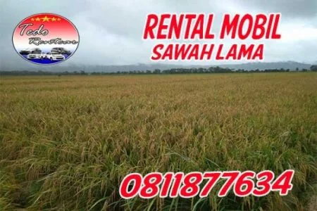 PELAYANAN JASA RENTAL MOBIL SAWAH LAMA TANGERANG SELATAN HARGA MURAH 24 JAM TERBAIK DAN TERDEKAT