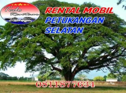 DAFTAR HARGA JASA SEWA RENTAL MOBIL PETUKANGAN SELATAN JAKARTA SELATAN MURAH 24 JAM TERBAIK & TERDEKAT