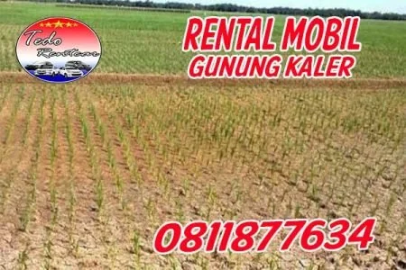 RENTAL MOBIL GUNUNG KALER